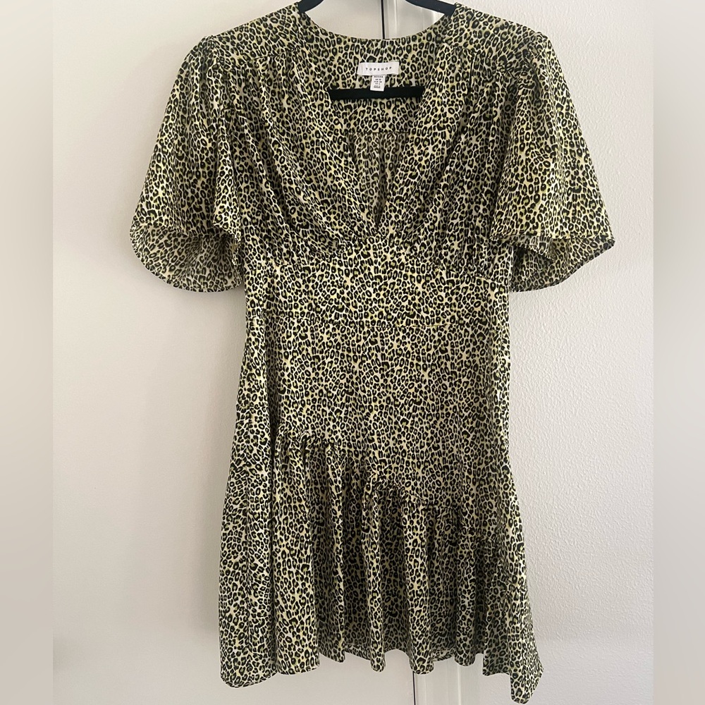 Top Shop Dress